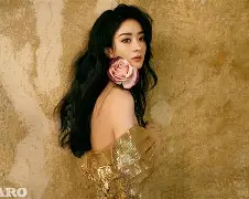 今晨送货单管理系统正版