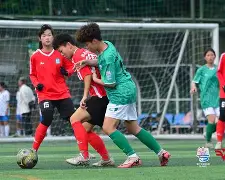 九游体育-女足选帅结果